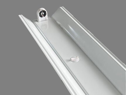 Economy Milky Head Single Tube With  Cover